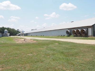Nice Turnkey 6 house Poultry farm 25 Acres SE Mississippi - image 10