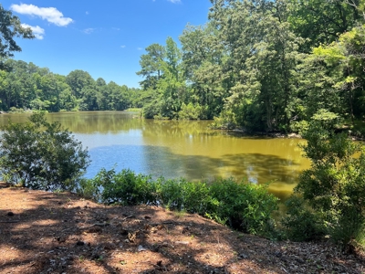 Waterfront Home in Carrollton, VA - image 3