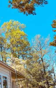 Waterfront Property on the York River in Williamsburg, VA - image 10