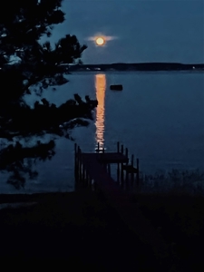 Waterfront Property on the York River in Williamsburg, VA - image 9