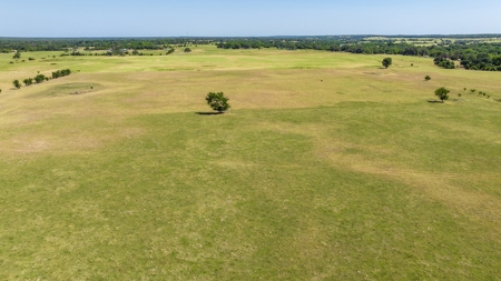 170.907 Acres For Sale - Athens, Texas - image 9