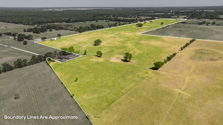 170.907 Acres For Sale - Athens, Texas - image 10