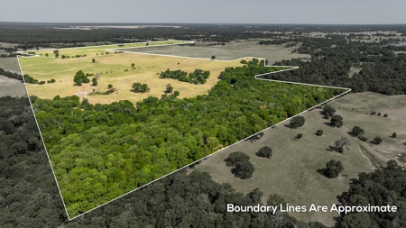 170.907 Acres For Sale - Athens, Texas - image 1