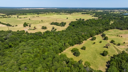 170.907 Acres For Sale - Athens, Texas - image 2