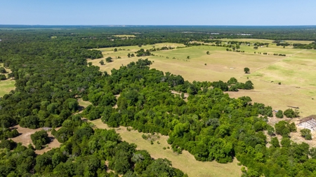 170.907 Acres For Sale - Athens, Texas - image 4