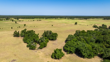 170.907 Acres For Sale - Athens, Texas - image 7