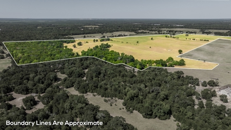 170.907 Acres For Sale - Athens, Texas - image 3