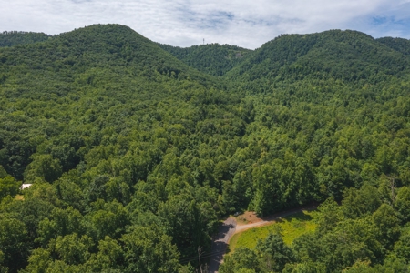 Recreational Land for Sale in Stuart VA! - image 2