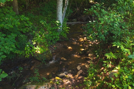 Recreational Land for Sale in Stuart VA! - image 8