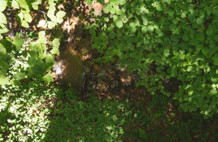 Recreational Land for Sale in Stuart VA! - image 15