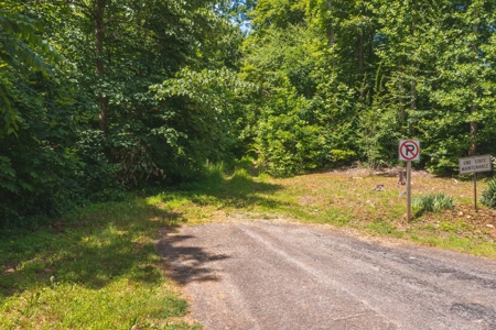 Recreational Land for Sale in Stuart VA! - image 9