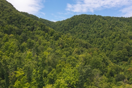 Recreational Land for Sale in Stuart VA! - image 4