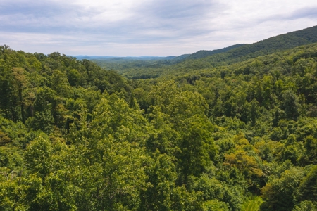 Recreational Land for Sale in Stuart VA! - image 5