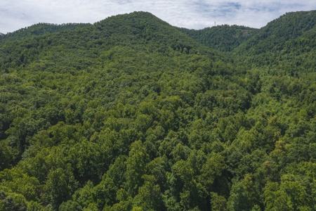 Recreational Land for Sale in Stuart VA! - image 3