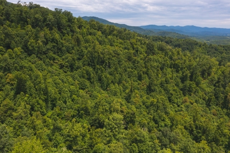 Recreational Land for Sale in Stuart VA! - image 1
