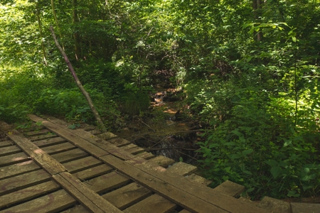 Recreational Land for Sale in Stuart VA! - image 11