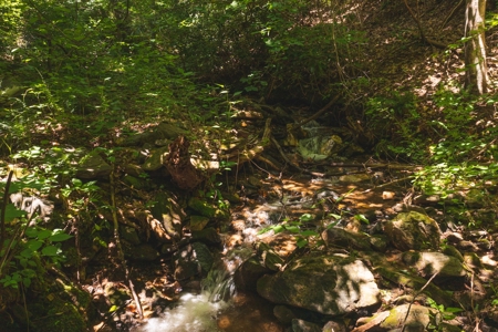 Recreational Land for Sale in Stuart VA! - image 13