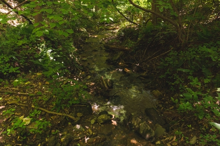 Recreational Land for Sale in Stuart VA! - image 14