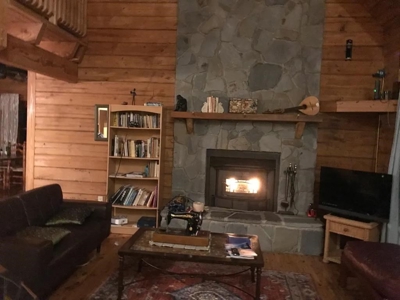 FL Log Cabin For Sale Airbnb Property on Acreage - image 47