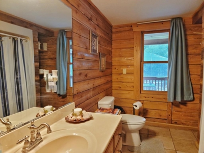 FL Log Cabin For Sale Airbnb Property on Acreage - image 19