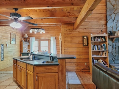 FL Log Cabin For Sale Airbnb Property on Acreage - image 13