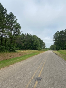 Land for Sale - Sturgis West Point Rd, Sturgis, MS - 126ac - image 12