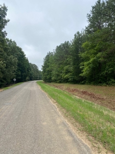 Land for Sale - Sturgis West Point Rd, Sturgis, MS - 126ac - image 11
