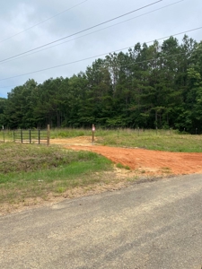 Land for Sale - Sturgis West Point Rd, Sturgis, MS - 126ac - image 13
