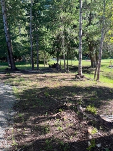 Charming Cabin In Noxon Montana For Sale - image 17