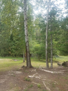 Charming Cabin In Noxon Montana For Sale - image 5