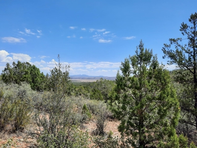 Gorgeous Views - image 6