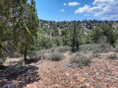 Gorgeous Views - image 1