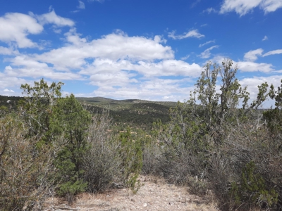 Gorgeous Views - image 4