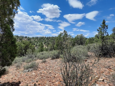 Gorgeous Views - image 7