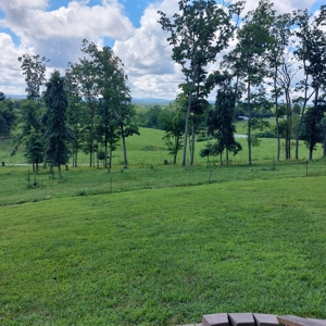 Farm for sale 142 Jones Knob Rd,  Deer Lodge TN 37726 - image 20