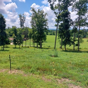 Farm for sale 142 Jones Knob Rd,  Deer Lodge TN 37726 - image 28