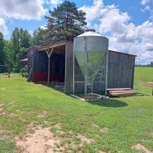 Farm for sale 142 Jones Knob Rd,  Deer Lodge TN 37726 - image 37