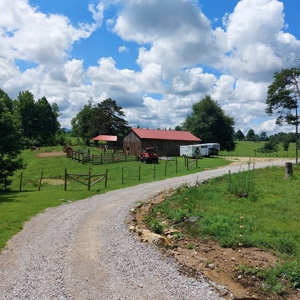 Farm for sale 142 Jones Knob Rd,  Deer Lodge TN 37726 - image 33
