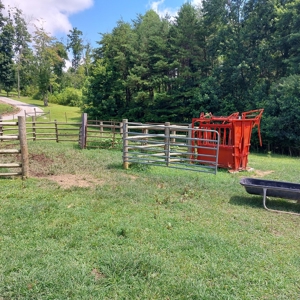 Farm for sale 142 Jones Knob Rd,  Deer Lodge TN 37726 - image 39