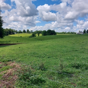 Farm for sale 142 Jones Knob Rd,  Deer Lodge TN 37726 - image 40