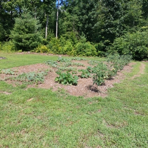 Farm for sale 142 Jones Knob Rd,  Deer Lodge TN 37726 - image 32