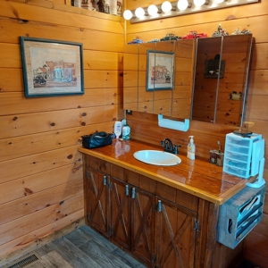 Farm for sale 142 Jones Knob Rd,  Deer Lodge TN 37726 - image 10
