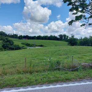 Farm for sale 142 Jones Knob Rd,  Deer Lodge TN 37726 - image 43