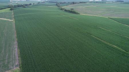 Tama County Iowa Farmland Auction - image 25