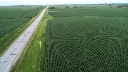 Tama County Iowa Farmland Auction - image 21