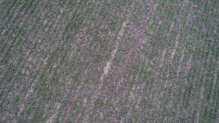 Tama County Iowa Farmland Auction - image 18