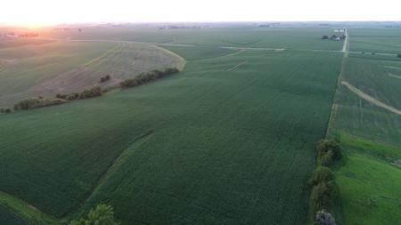 Tama County Iowa Farmland Auction - image 8