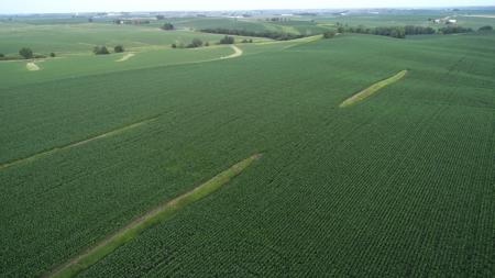 Tama County Iowa Farmland Auction - image 23