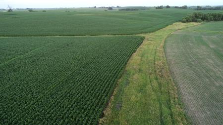 Tama County Iowa Farmland Auction - image 19