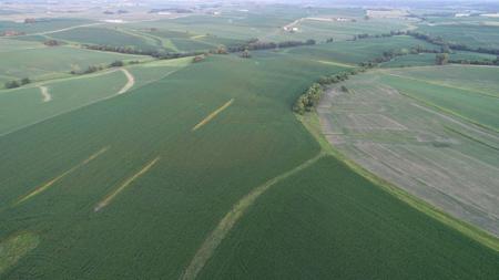 Tama County Iowa Farmland Auction - image 5